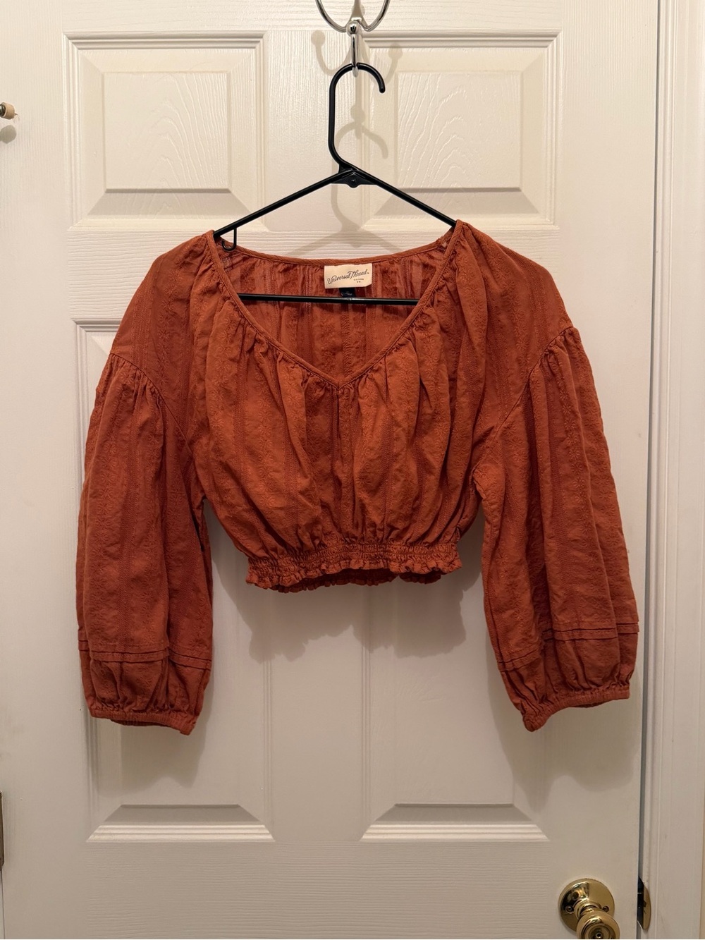 Universal Thread Rust Textured Peasant Crop Top